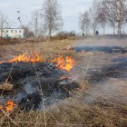 В Пензе пожарные тушили горящую траву
