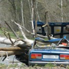 В Пензенской области пассажиров «семерки» насмерть раздавило упавшее дерево