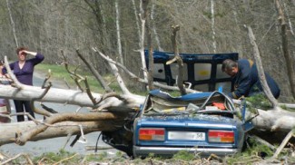 В Пензенской области пассажиров «семерки» насмерть раздавило упавшее дерево