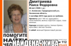 В Пензенской области остановлен поиск 80-летней пенсионерки