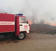 С пожаром в Арбековском лесу боролись пензенские спасатели