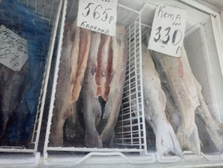 В Пензенской области уничтожили 1,5 центнера свежемороженой рыбы