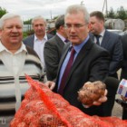 В Пензенской области самые дешевые картошка и сахар 