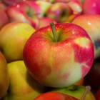 Под Пензой уничтожили около 70 килограммов свежих яблок