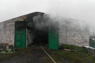 Появились фото с места смертоносного пожара в Пензенской области