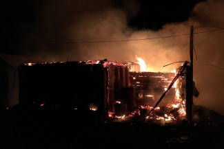 Ночной пожар в Пензенской области унес жизнь человека