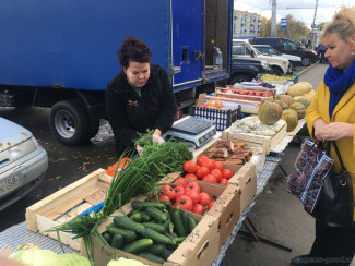 В Пензе закрыли несколько несанкционированных торговых точек