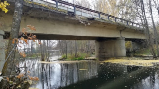Пензенский Следком обнародовал фото с места падения подростка в реку