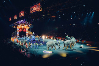 В Пензе детям из малообеспеченных семей подарят билеты в цирк