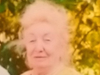 В Пензе остановили поиски 82-летней пенсионерки