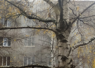 В Пензе из горящего дома на Заводской улице эвакуировали 30 человек