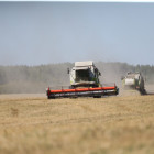 Пензенские аграрии собрали около 2 млн тонн зерна