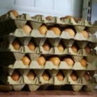 В Пензенской области сняли с продажи подозрительное яйцо