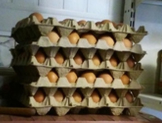 В Пензенской области сняли с продажи подозрительное яйцо