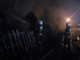 В Пензе полыхающий дом тушили 27 человек