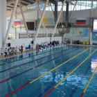 В Пензе стартовали соревнования по плаванию «Веселый дельфин»