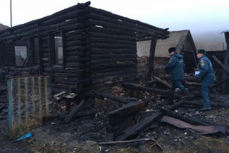 В Пензенской области при пожаре погибли два человека