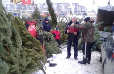 Пензенские власти проверили работу елочных базаров