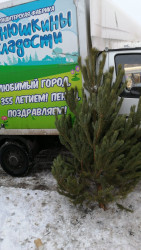 Депутат Кузяков подарил новогоднее настроение жителям 14 округа