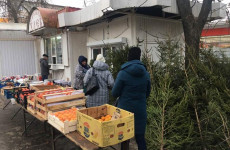 В Пензе закрыли несколько нелегальных елочных базаров