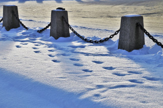 В Пензенской области следы на снегу помогли поймать воров