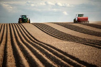 Пензенская область получила 7 грантов на развитие сельхозкооперации 