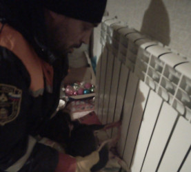 Пензенские спасатели пришли на помощь собаке, застрявшей в батарее