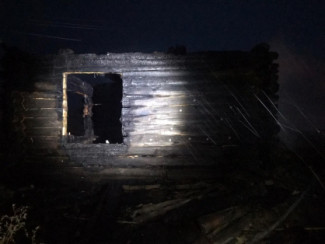 Появились фото с места смертоносного пожара в Пензенской области