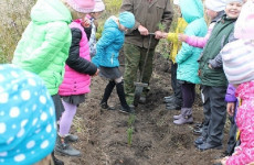 В Пензенской области около 12 тысяч деревьев посадили школьники