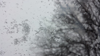 Завтра в Пензенской области ожидаются гололедица и мокрый снег