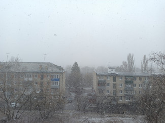 В Пензе снова выпал снег