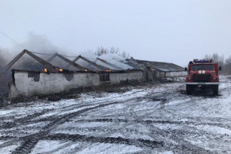 В Пензенской области огонь уничтожил кирпичный склад