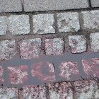 В Заречном Пензенской области случилось кровавое убийство