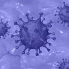 За одни сутки в России заразились коронавирусом более 30 человек