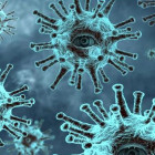 В Пензенской области около 1200 человек прошли тесты на коронавирус
