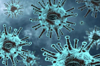 В Пензенской области около 1200 человек прошли тесты на коронавирус
