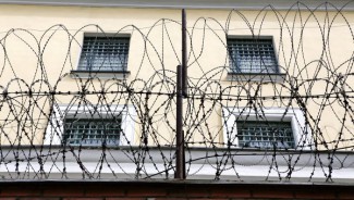 Преступников в пензенских тюрьмах кормят курами-гриль, выращенными «вертухаями»