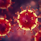 В Пензенской области обследовали на коронавирус более 1700 человек