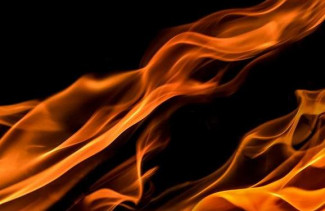 С пожаром в Пензенской области боролись девять человек