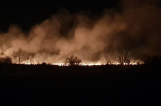 В Пензенской области выгорели два гектара сухой травы