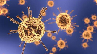 В Пензе число зараженных коронавирусом достигло 27