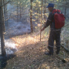 В Пензенской области начали бушевать лесные пожары
