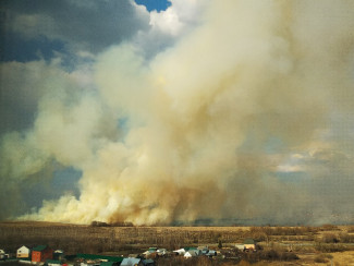 Масштабный пожар на окраине Пензы прокомментировали в МЧС