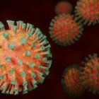 Случаи коронавируса в Заречном официально подтверждены