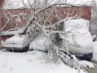 МЧС обратилось к жителям Пензы в связи с сильным снегопадом 