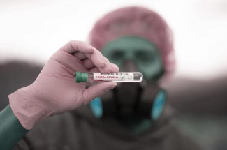 За сутки в Пензенской области подтвердили коронавирус у 43 человек