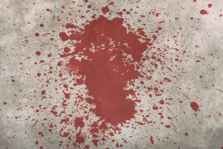 Уголовница из Пензы пыталась устроить кровавую расправу над сожителем
