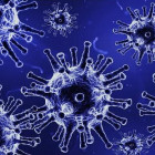 За сутки в Пензенской области подтверждено еще 45 случаев коронавируса