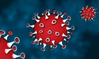 В Пензенской области подтвердили еще 88 случаев коронавируса