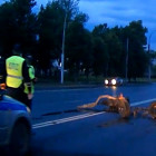 Разорвало на части: в Пензе произошла страшная авария (фото, видео)